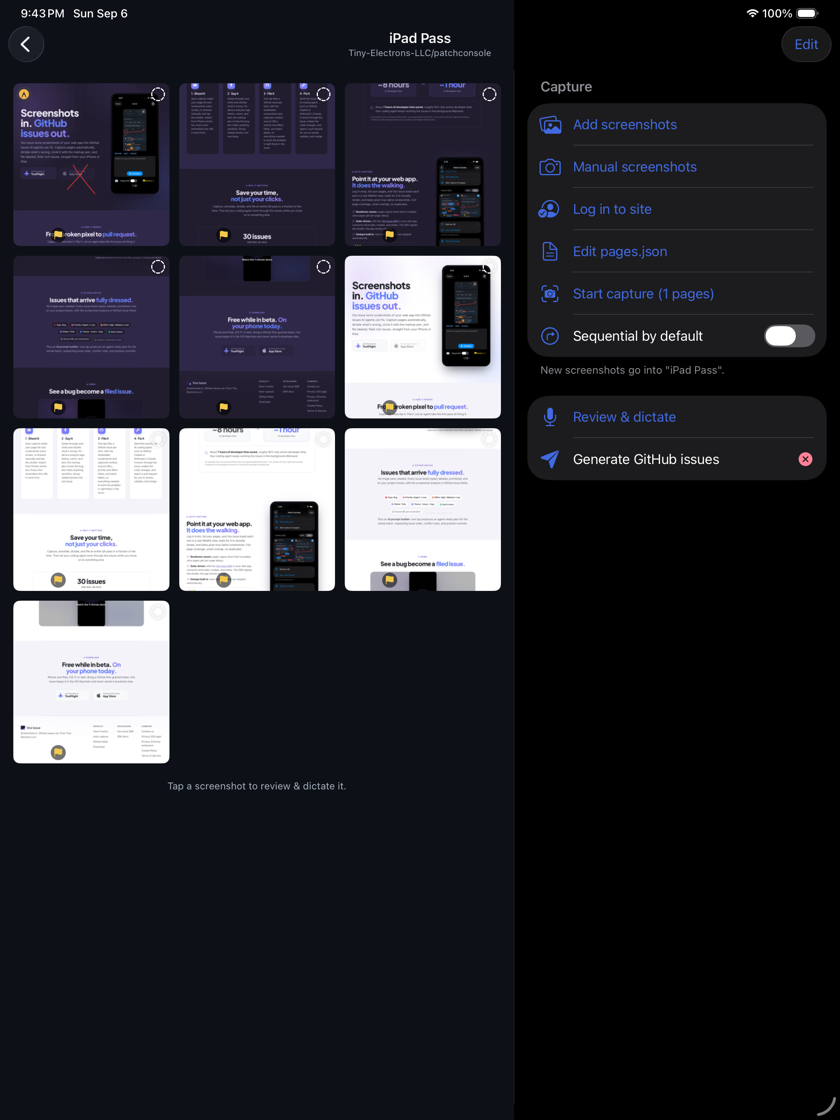 Vox Issue on iPad: capturing a web app's pages into a session